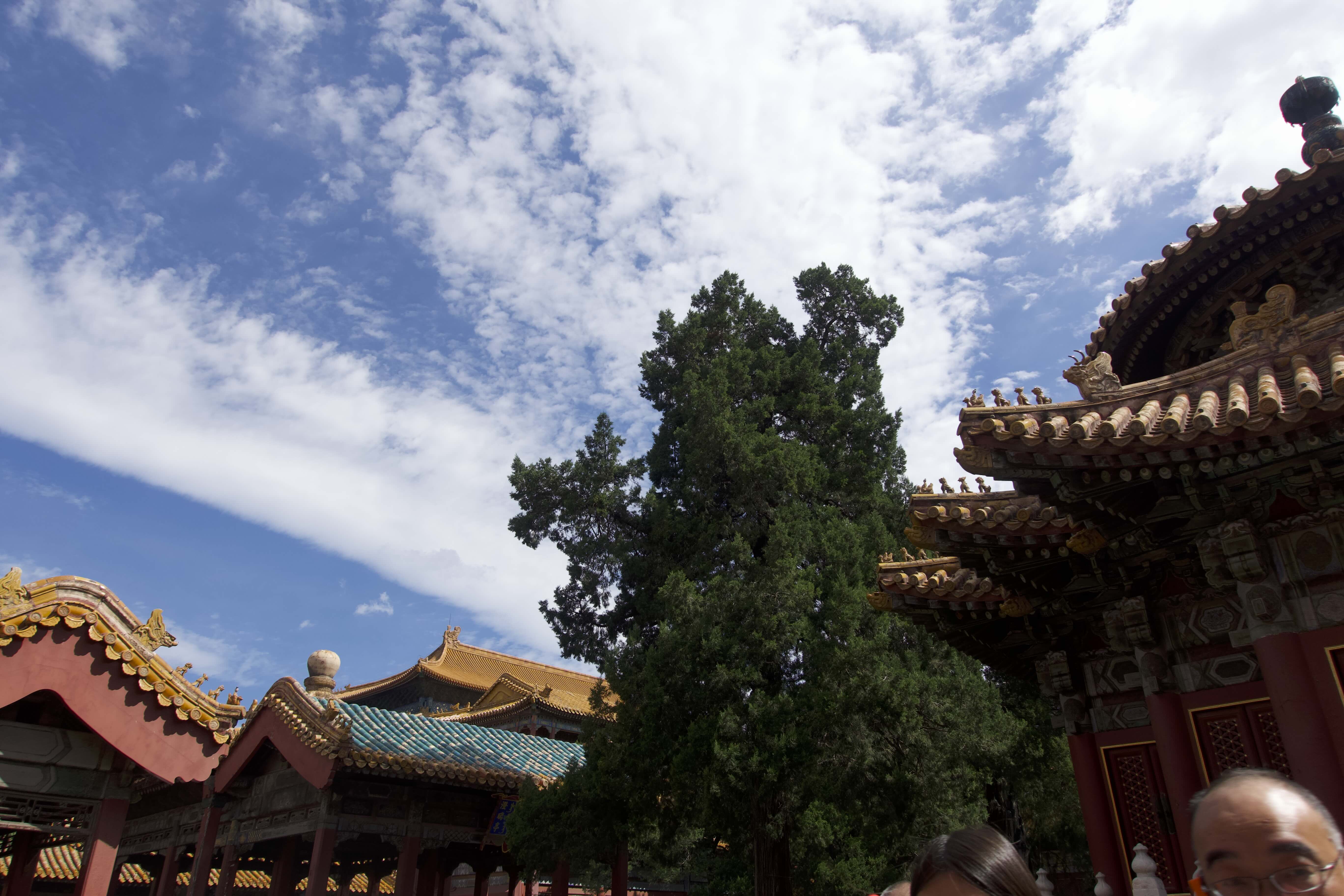 https://media.wuguipeng.com/image/2024/09/1bef1527be6377cf6206192a0c73a8c28dbd7483.jpeg