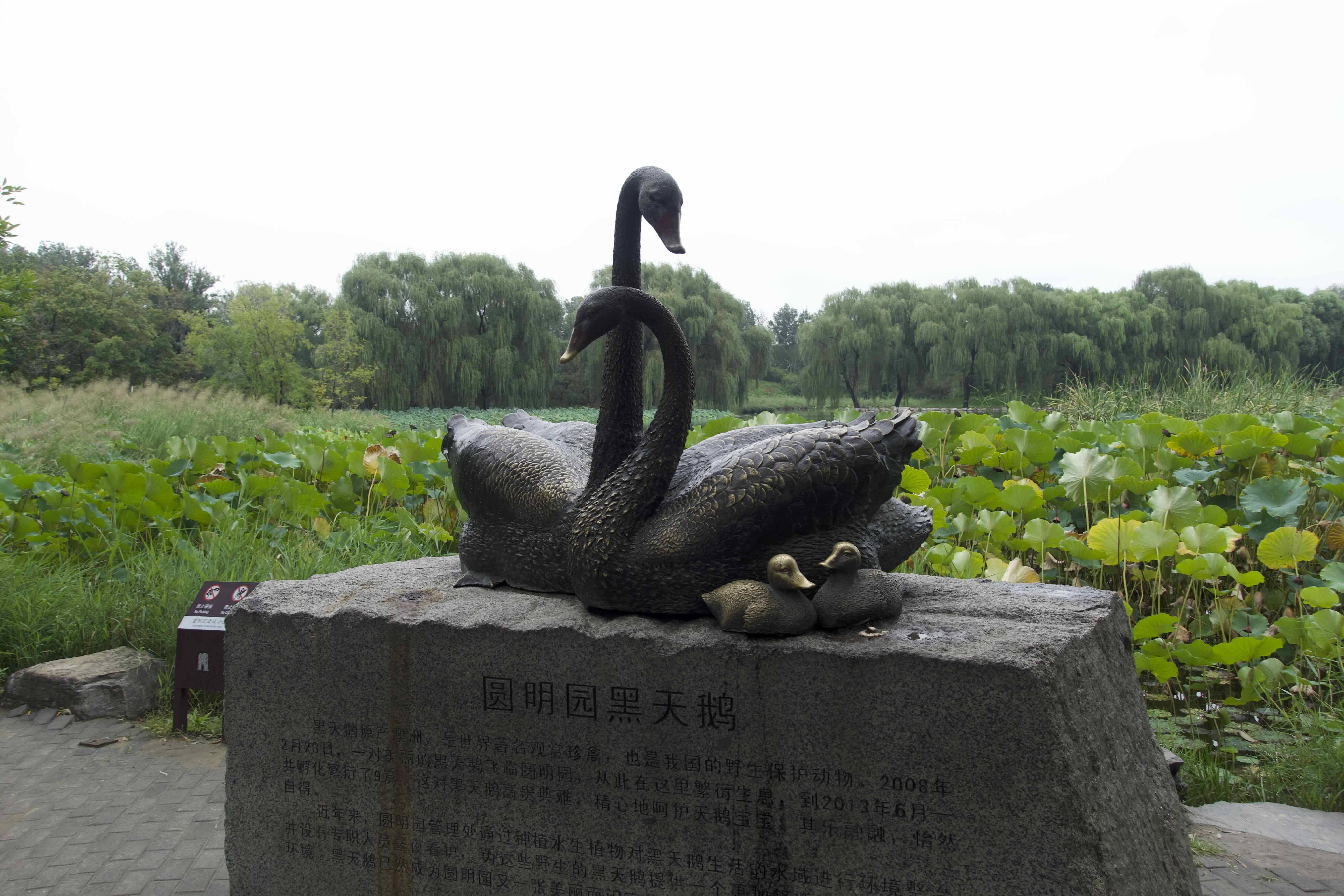 https://media.wuguipeng.com/image/2024/09/1c065e93fbbbb9a92a478189c9860d1ecceed3c3.jpeg