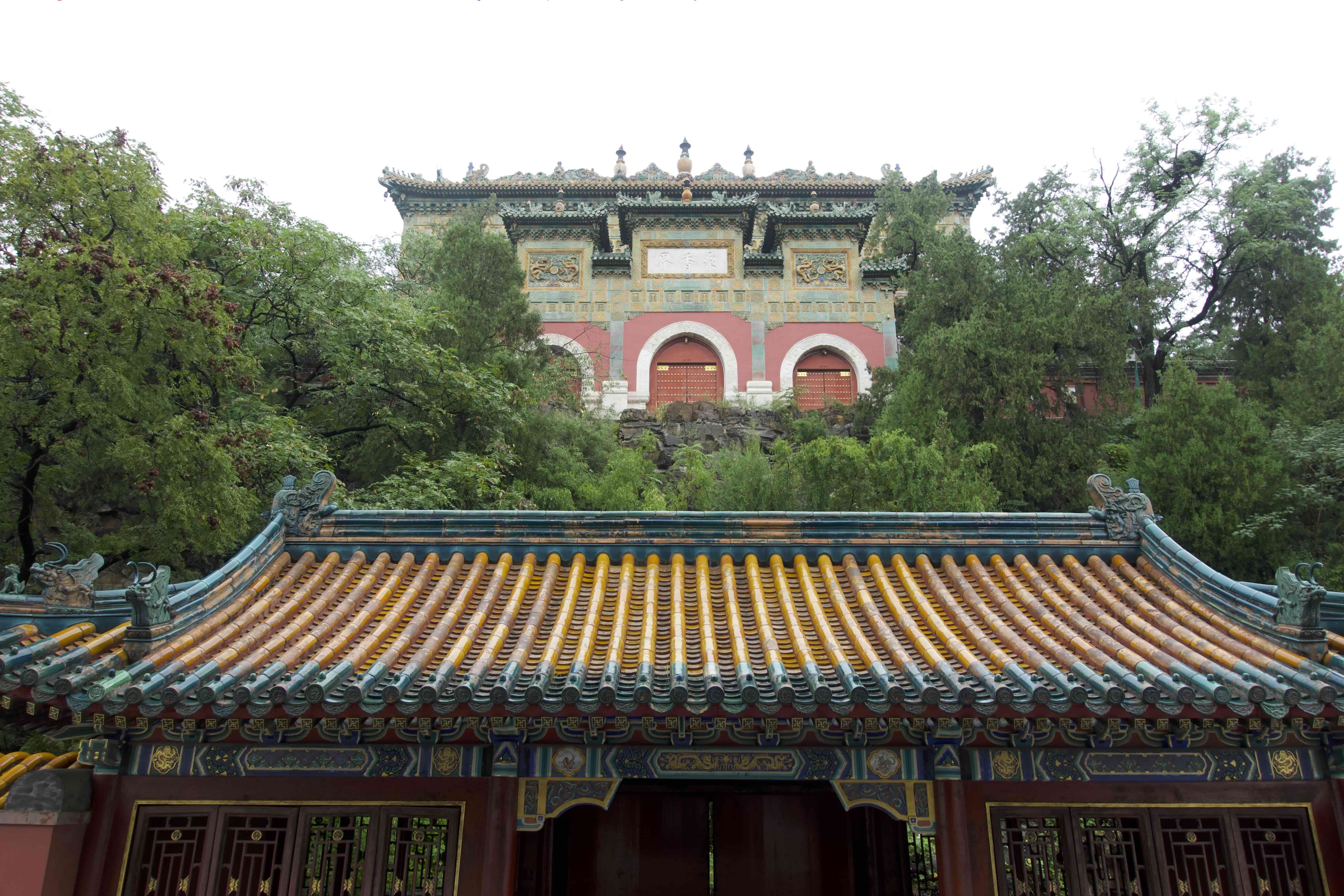 https://media.wuguipeng.com/image/2024/09/1fef950a78401a81fa73c28e97723dd4dec596f5.jpeg