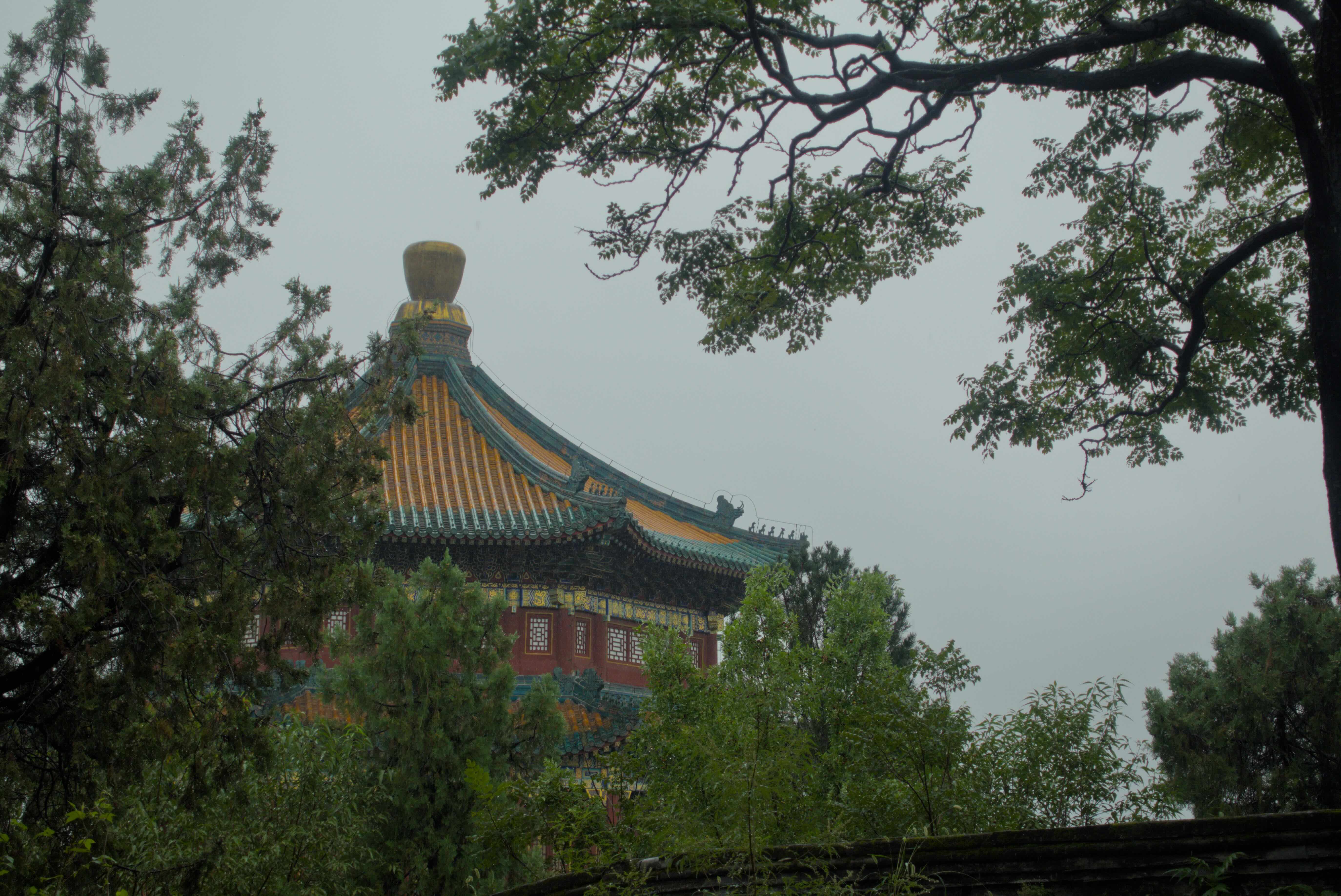 https://media.wuguipeng.com/image/2024/09/558e1db9a358b21f856140e115be0be9b6919c81.jpeg
