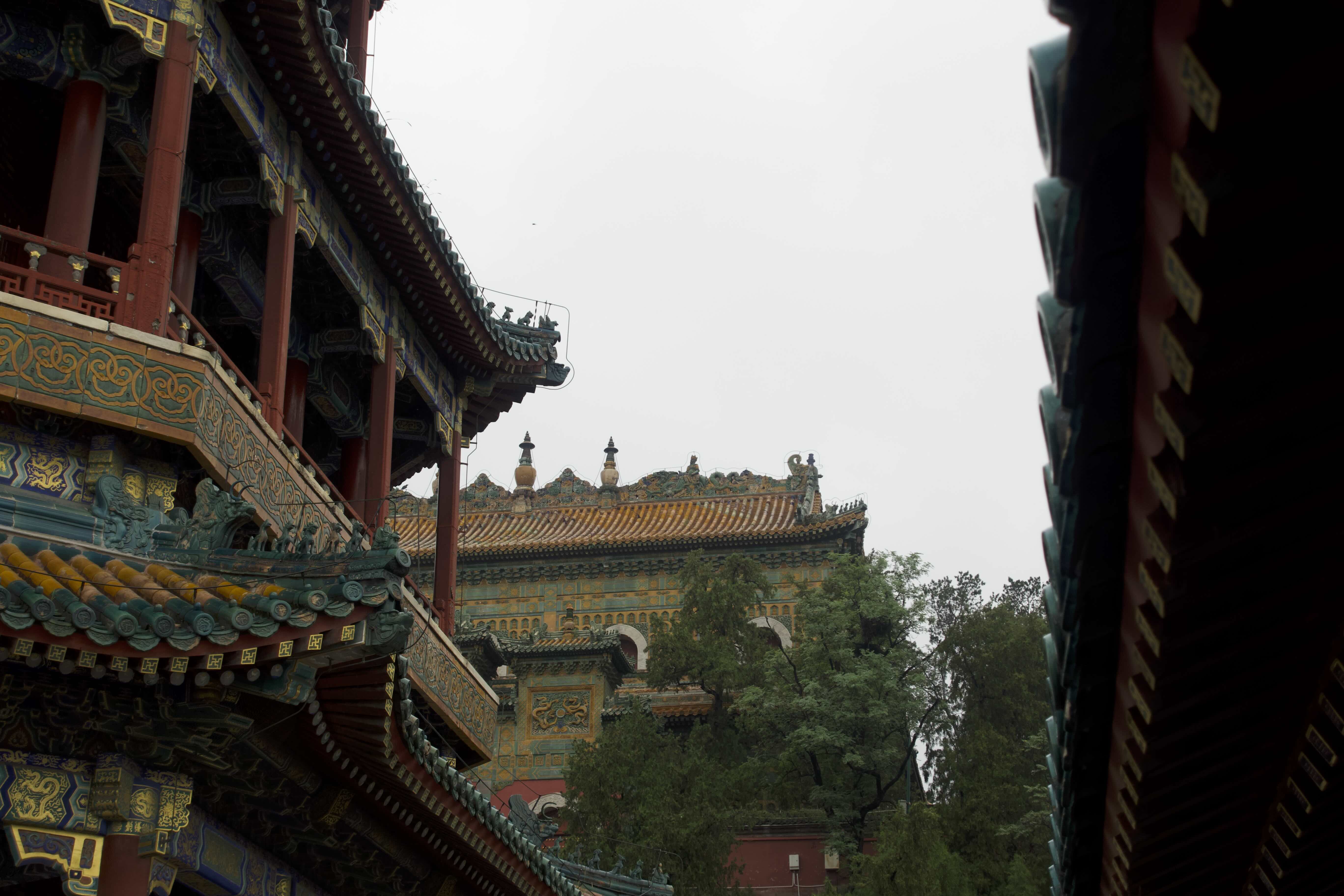 https://media.wuguipeng.com/image/2024/09/9365d986dc506392c298fd54fde4b68ae4296261.jpeg