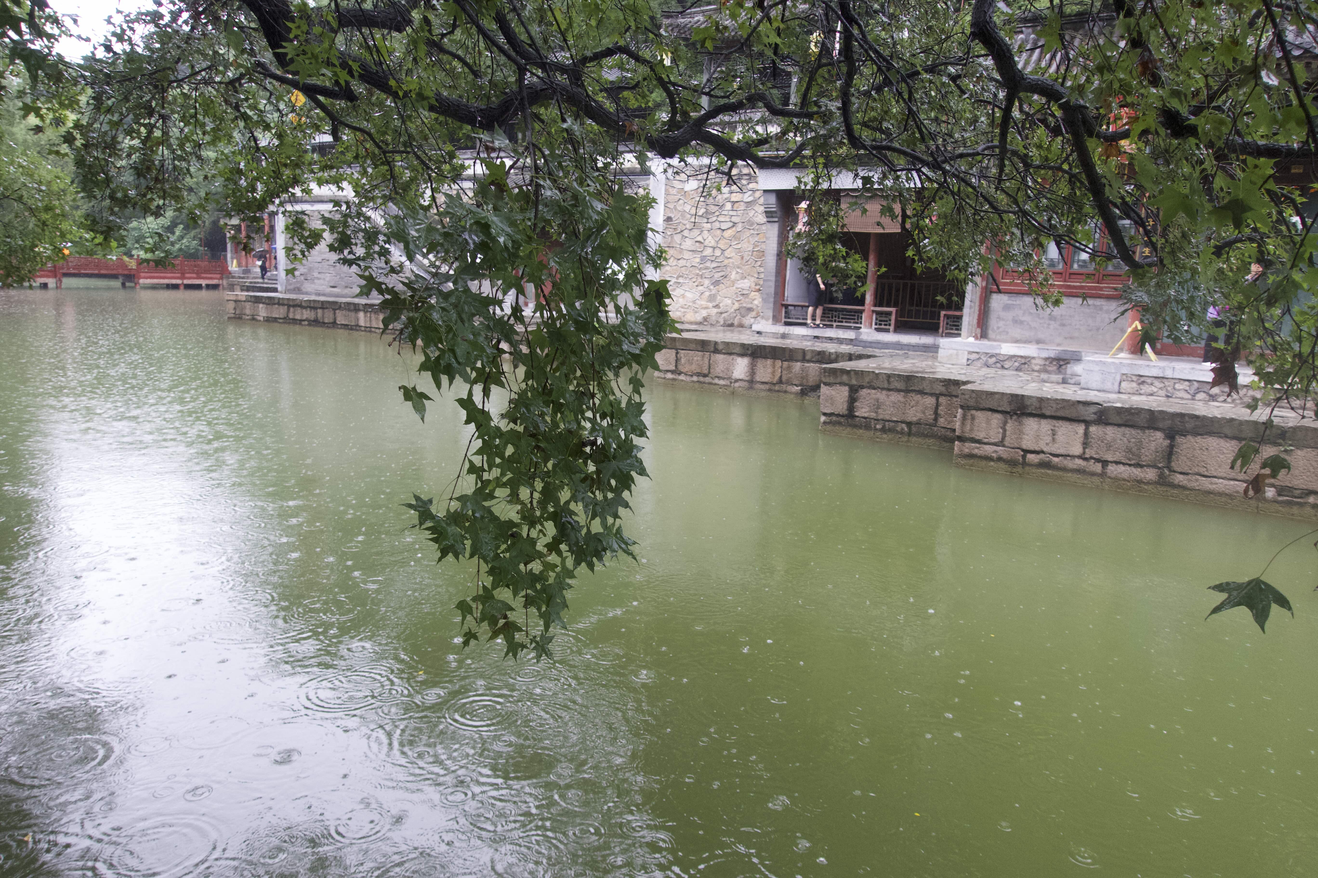 https://media.wuguipeng.com/image/2024/09/a57979fb732fe395178392d77306a05548dda4ef.jpeg