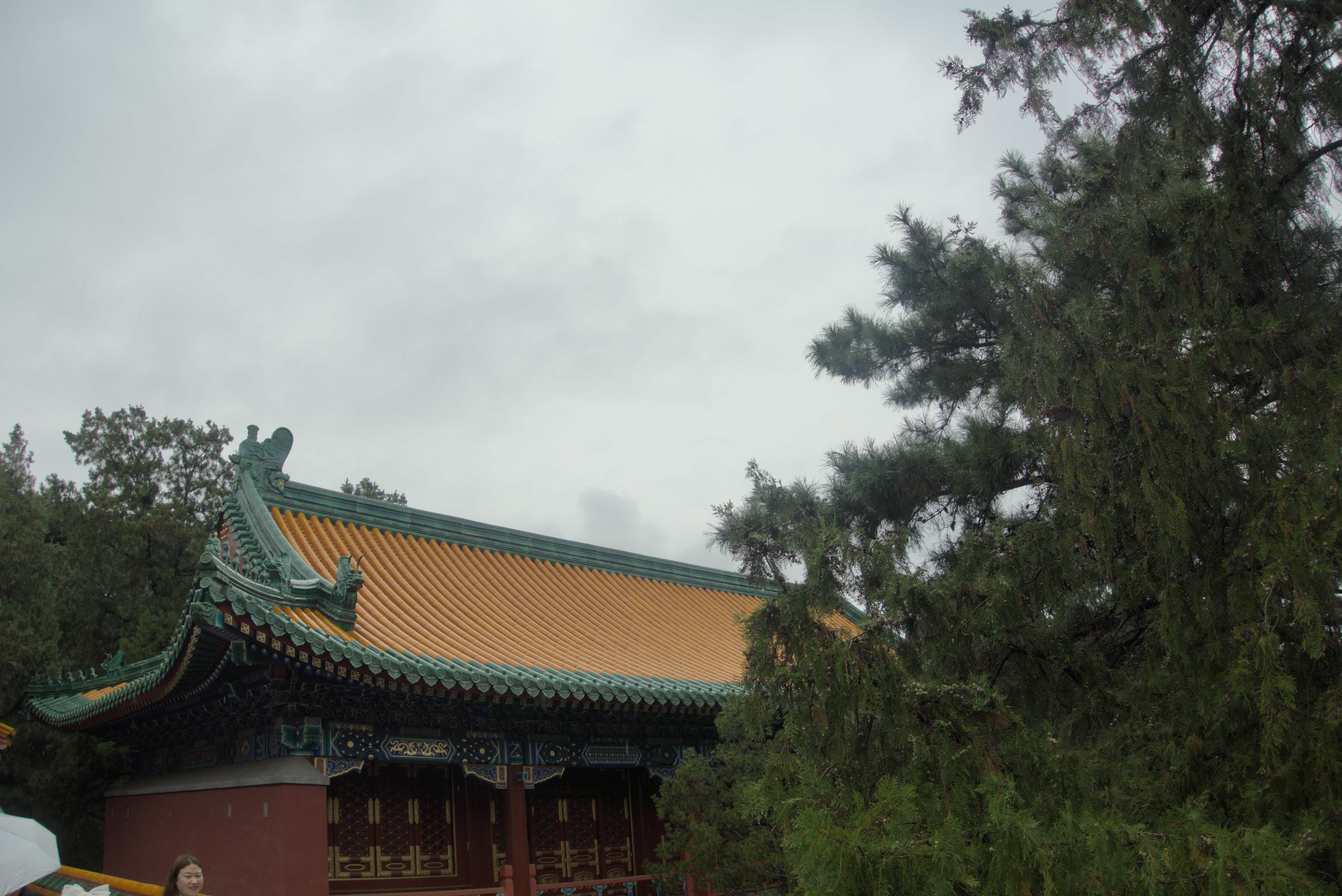 https://media.wuguipeng.com/image/2024/09/b921fe6d4b31094122d8c905307b2346ea8037cf.jpeg