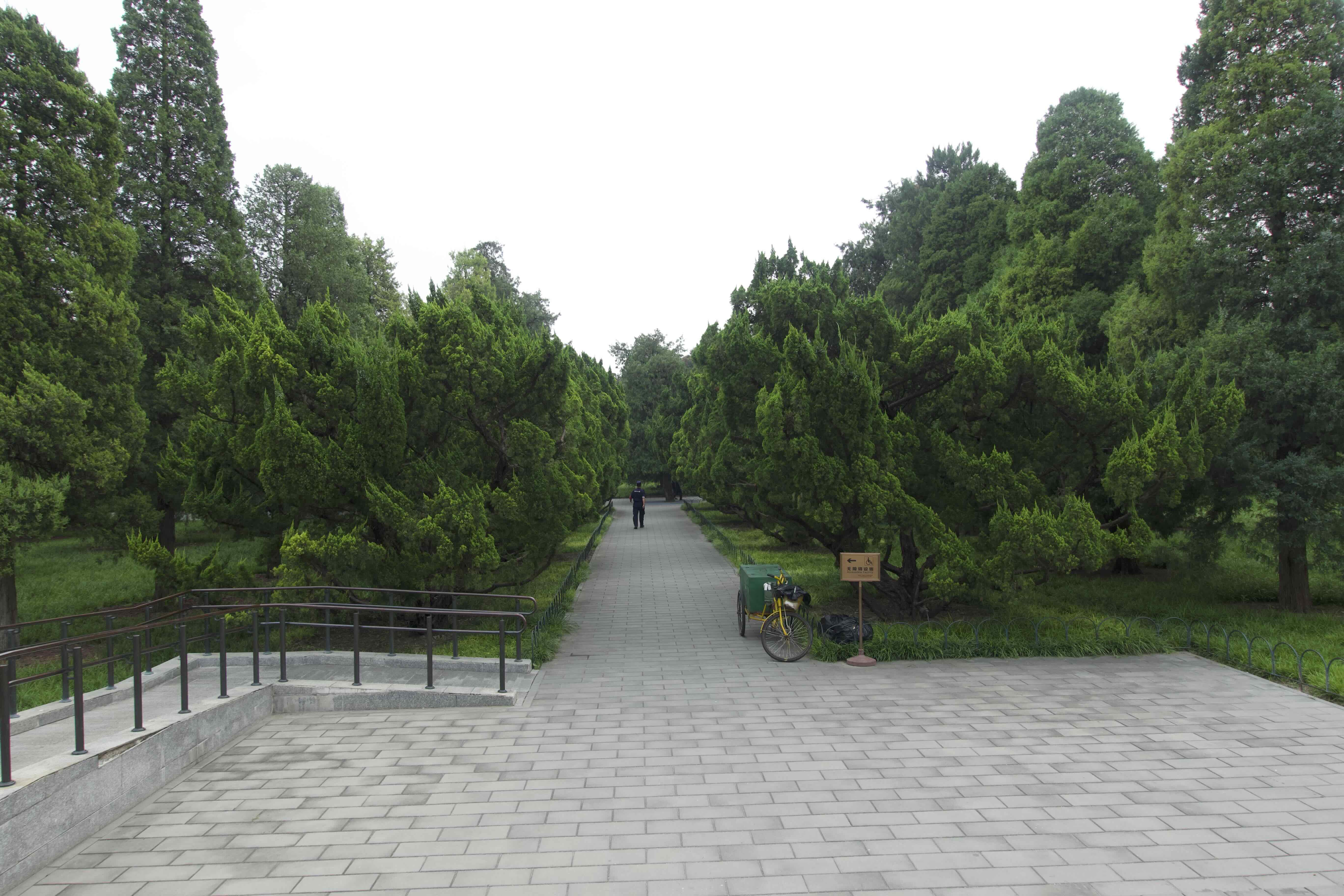 https://media.wuguipeng.com/image/2024/09/cd9dc32fc964c57a0a9ce89ace08ce15da779fcd.jpeg