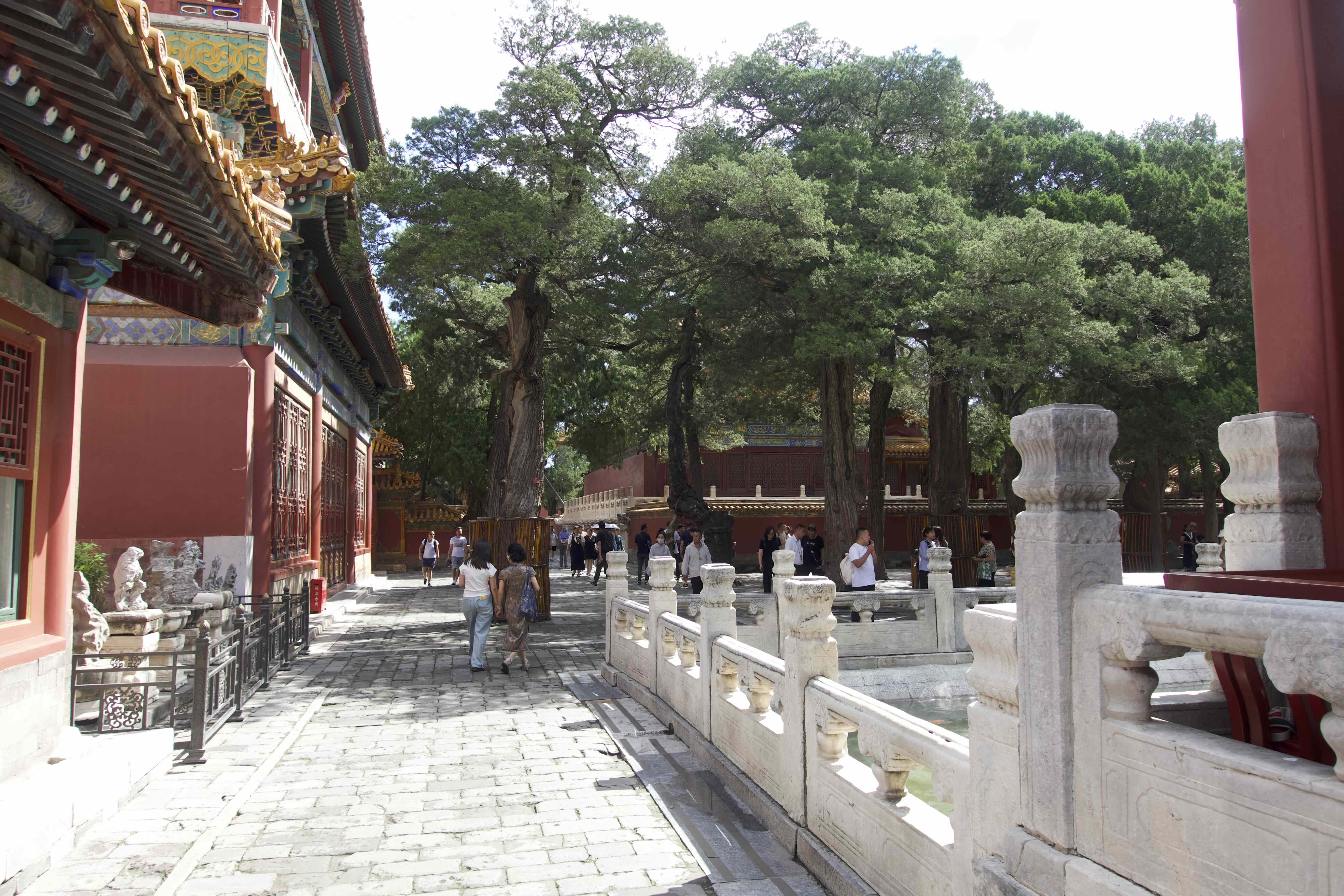 https://media.wuguipeng.com/image/2024/09/ee40784a19ea973454ca2e631b438d7ccb364357.jpeg